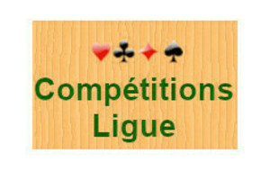 Finale de ligue - Mixte expert par paires le 16/02/2025