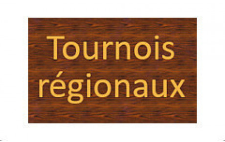 Tournois de Jard et Parthenay - juillet 2019
