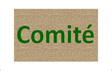 Statistiques du comité (joueurs, clubs, etc.)