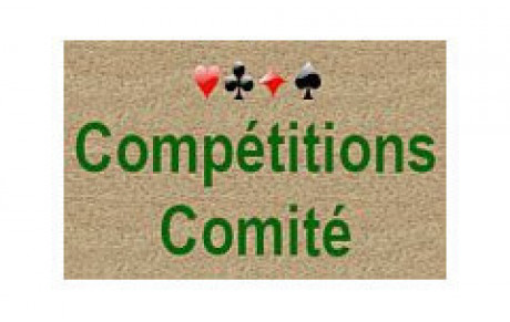 Comité - 1/2 finale honneur et promotion par paire