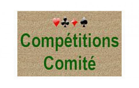 Comité - finales des seniors excellence par paire - 04/12/2019