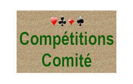 Comité - finale des seniors honneur par paire - 5 et 6 février 2020