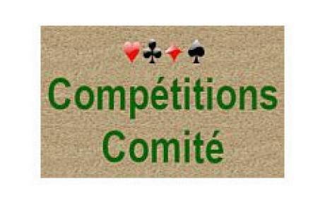 Comité - finale de l'Excellence par paires 2019-2020
