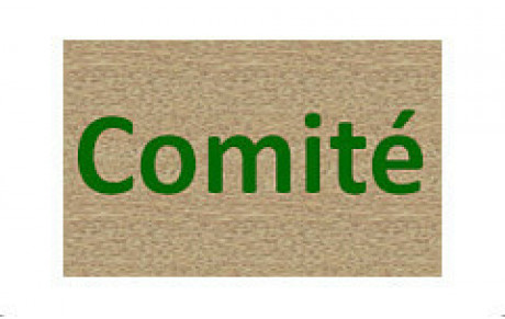 Comité - compte-rendu de l'assemblée générale du mardi 29/09/2020