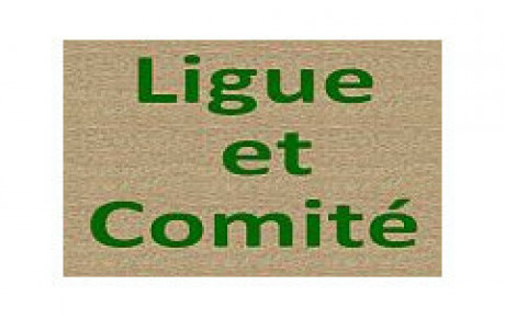 Finales de comité Open par paire Excellence et DN3 par paire (Ligue)