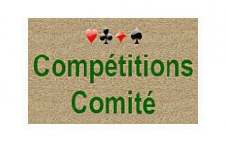 Finale de comité 2023-2024 - Expert - Open par quatre