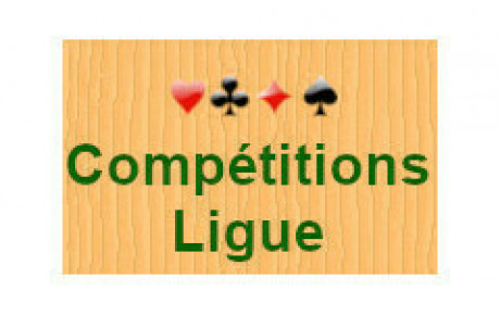 Finale de ligue - Mixte expert par paires le 16/02/2025