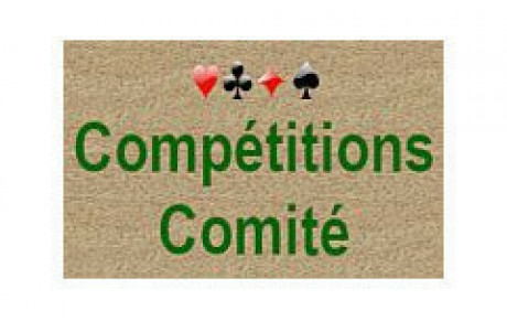Finales de comité - Senior Expert Mixte par quatre et Coupe de France - mars 2025